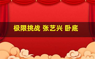 极限挑战 张艺兴 卧底